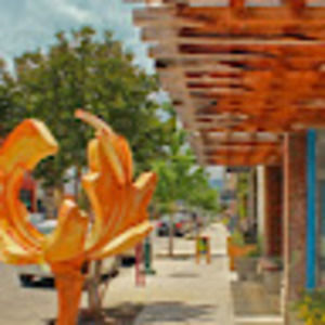 Meet your Posher, Sam